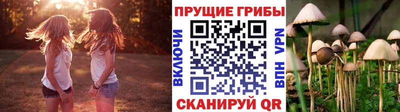 Псилоцибиновые грибы ЛСД Энем