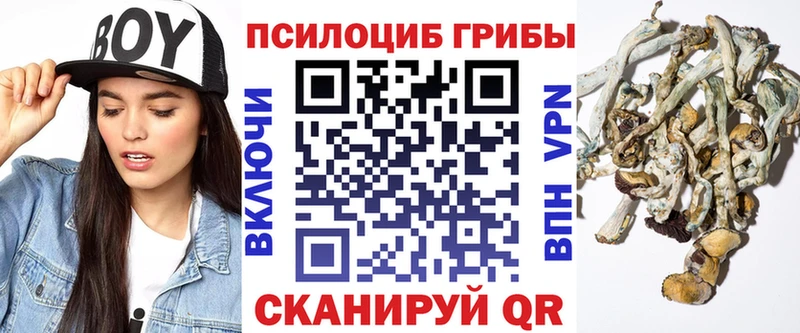 Галлюциногенные грибы мицелий  hydra зеркало  Энем 